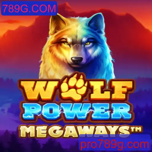 Explorando WolfPowerMega: Um Novo Universo de Entretenimento Casino