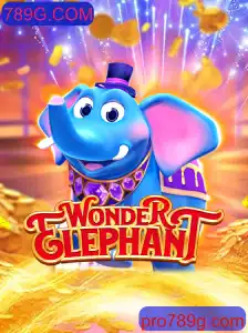 WonderElephant: Descubra o Fascinante Mundo do Jogo que Conquista a Web